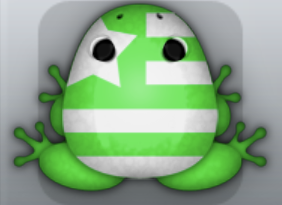 Emerald Albeo Americano Frog from Pocket Frogs