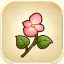 Icon of Begonia from Story of Seasons: Pioneers of Olive Town