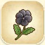 Icon of Black Pansy from Story of Seasons: Pioneers of Olive Town