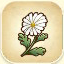 Icon of Daisy from Story of Seasons: Pioneers of Olive Town