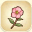 Icon of Hellebore from Story of Seasons: Pioneers of Olive Town