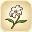 Icon of Lily from Story of Seasons: Pioneers of Olive Town