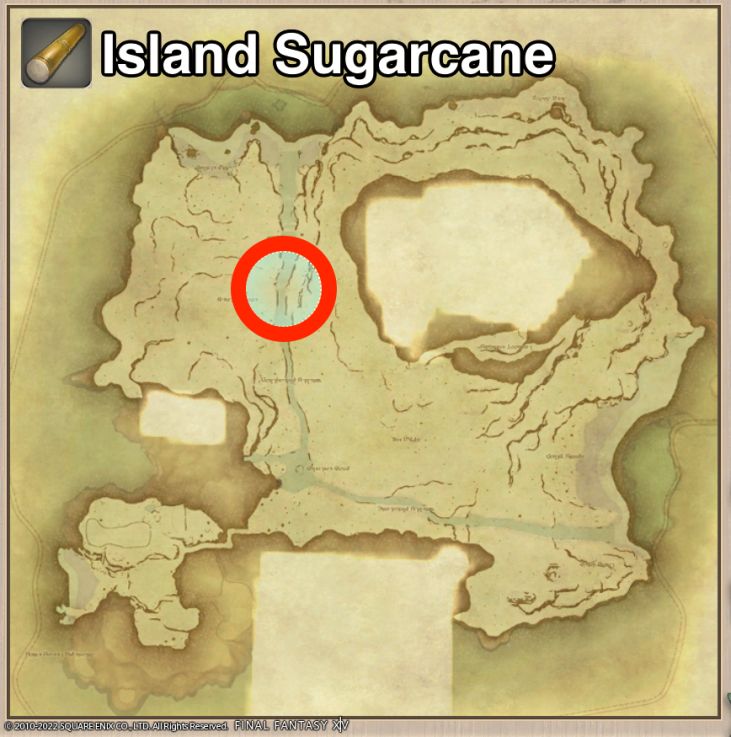 Main location of Island Sugarcane on Island Sanctuary