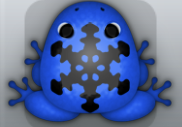 Blue Picea Glacio Frog from Pocket Frogs