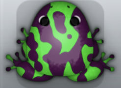 Emerald Pruni Marmorea Frog from Pocket Frogs