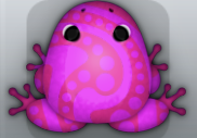 Pink Floris Stillas Frog from Pocket Frogs