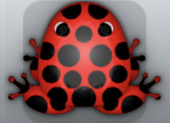 Red Picea Puncti Frog from Pocket Frogs