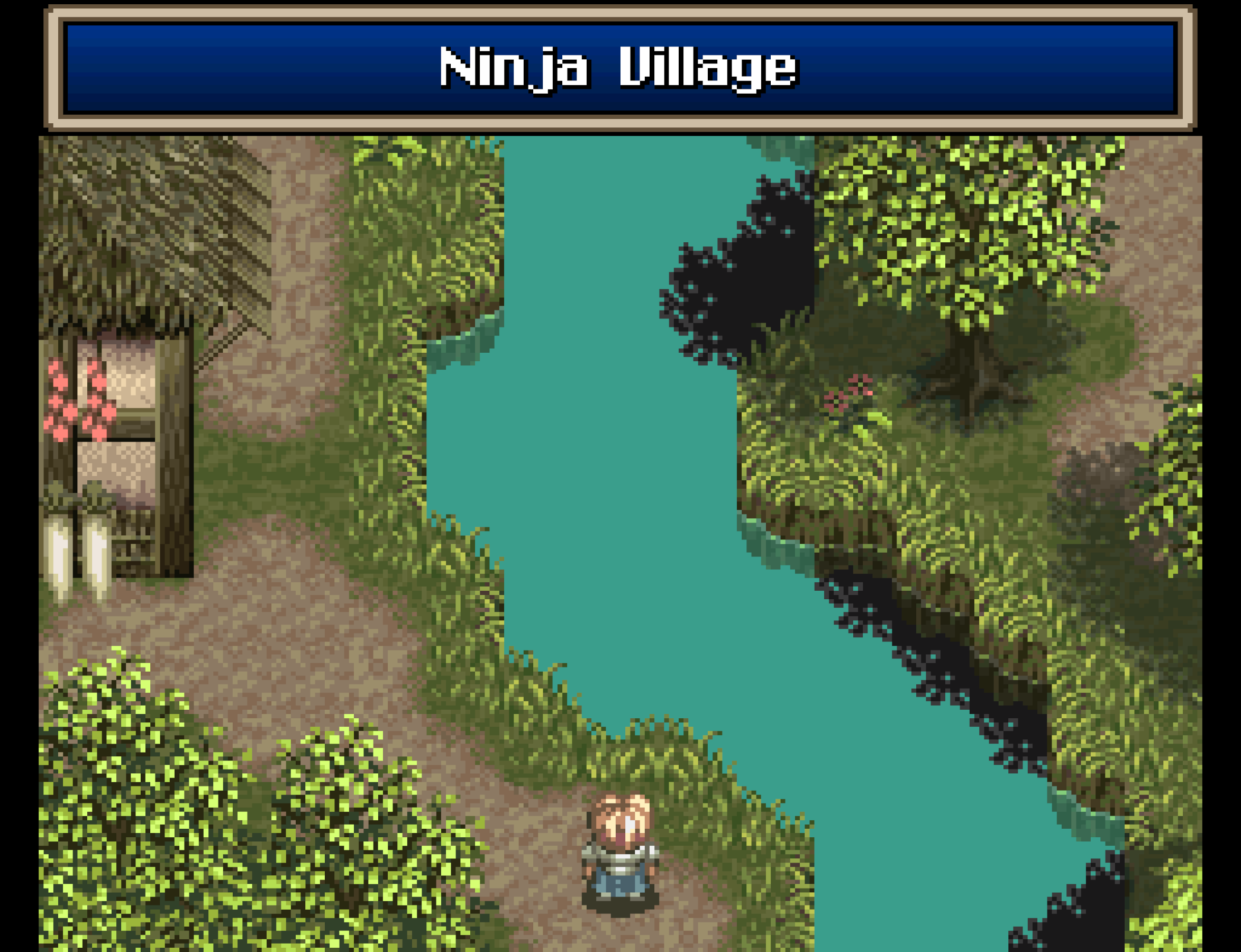 After you learn of the Ninja Village from someone in the Ary pub, you make your way there.