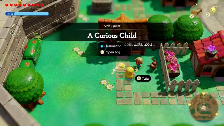 A child in Hyrule Castle Town is obsessed with Zols after seeing a picture of one in an encyclopedia.