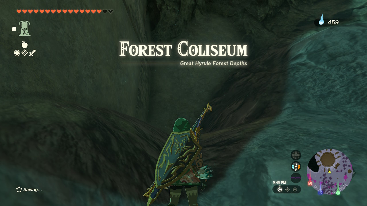 The Forest Coliseum is in the area of the Depths beneath the Korok Forest on the surface.