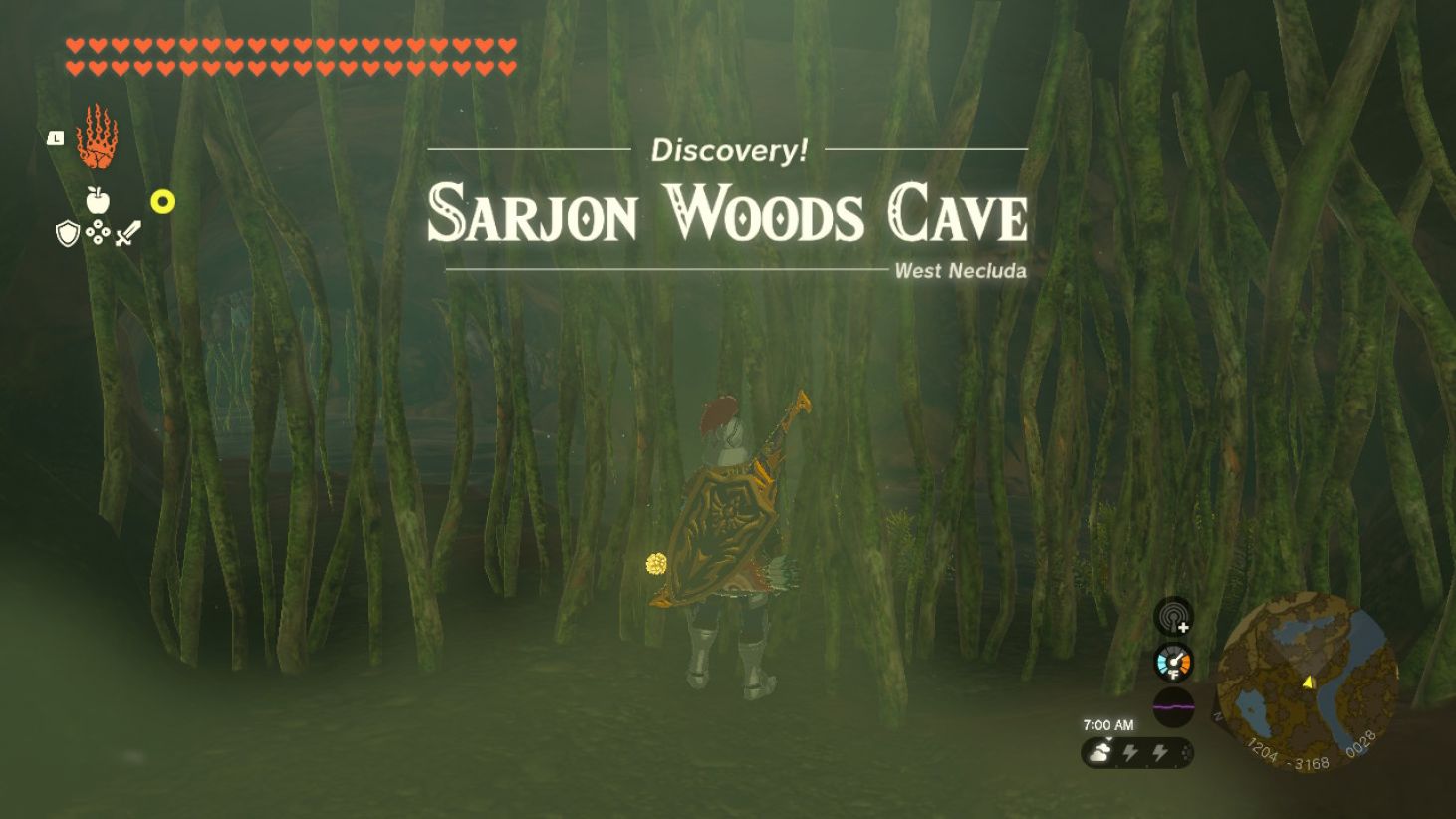 Sarjon Woods Cave - The Legend of Zelda: Tears of the Kingdom Guide