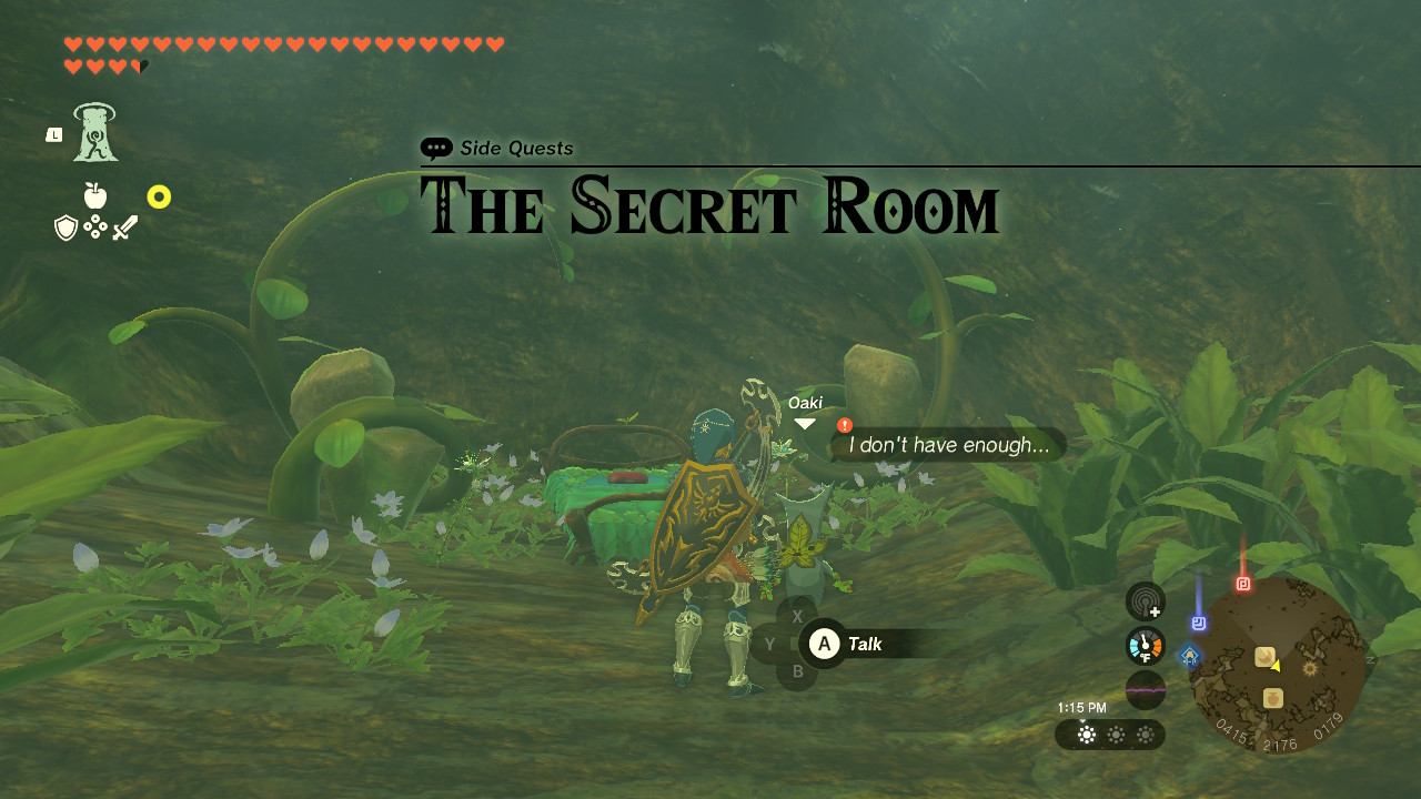 Oaki wants to decorate the secret room that he made in the Deku Tree's mouth.